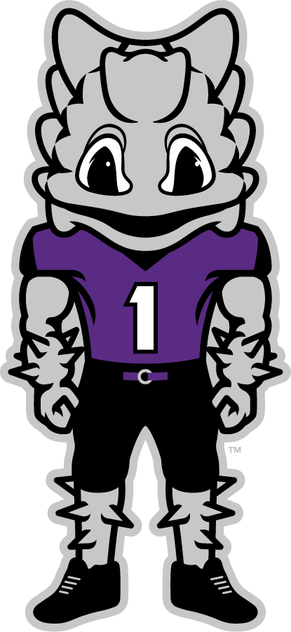 TCU Horned Frogs 2016-Pres Mascot Logo DIY iron on transfer (heat transfer)